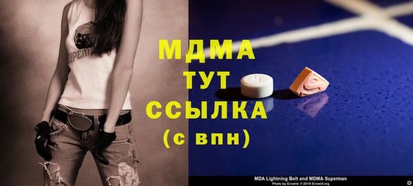 индика Новозыбков