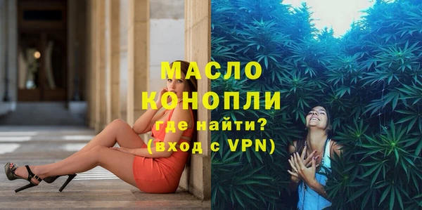 индика Новозыбков